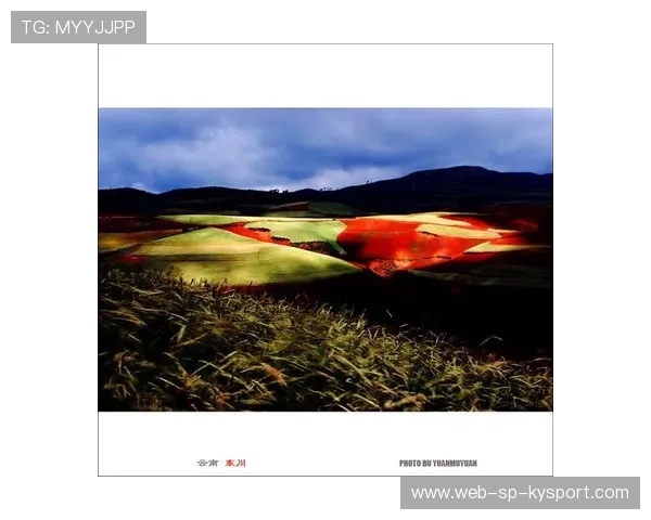 _意大利红土大师：场场激烈，冠军悬念迭起_，意大利红土地干红葡萄酒